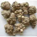 Natural Sanqi Extract Sanchinoside Radix Extracto Notoginseng